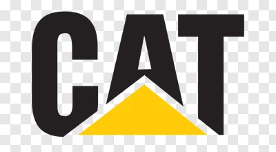 Cat Cat
