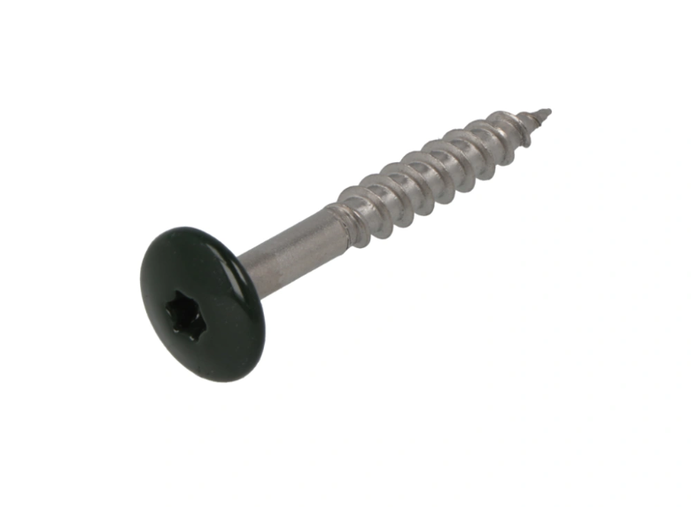 Dak&Gevel Kleurkopschr 4.8X25 Rvs-A2 Groen Ral6009 (50)