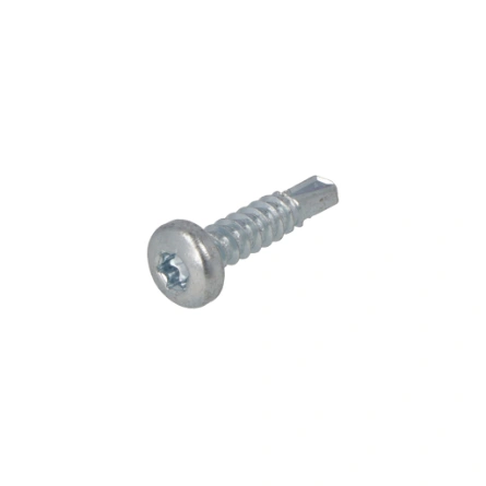 Proftec zelfb. Plaatschroef 4.2x19mm verz. TX20 CK (200)
