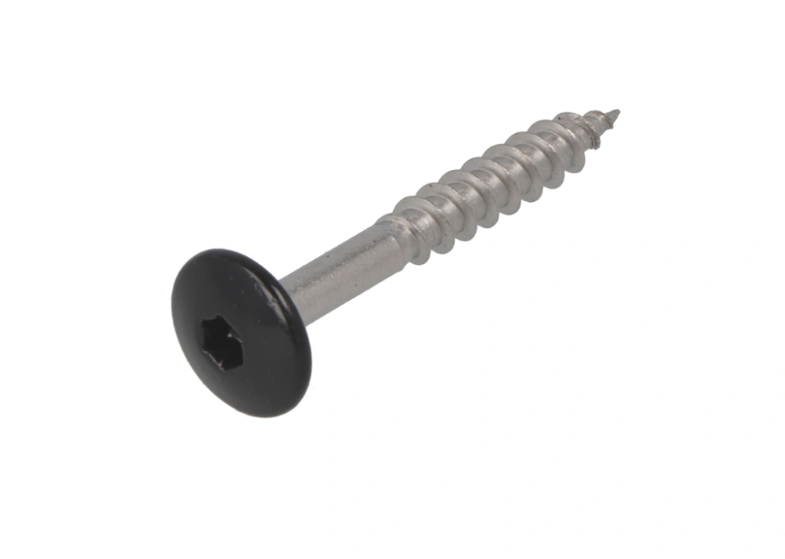 Dak&Gevel Kleurkopschr 4.8X38 Rvs-A2 Zwart Ral9005 (50)